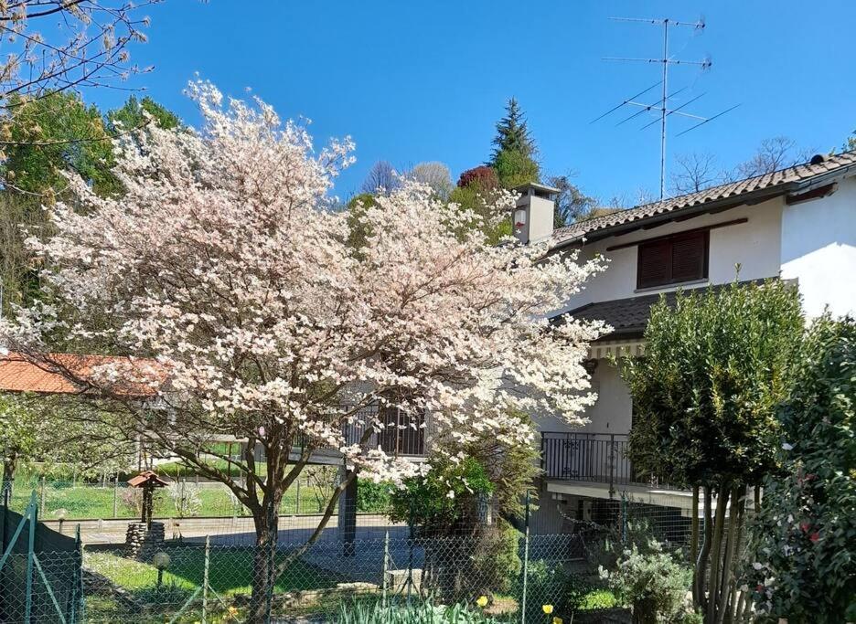 オレッジョ・カステッロ Il Vecchio Kiwi - House With Private Gardenヴィラ エクステリア 写真