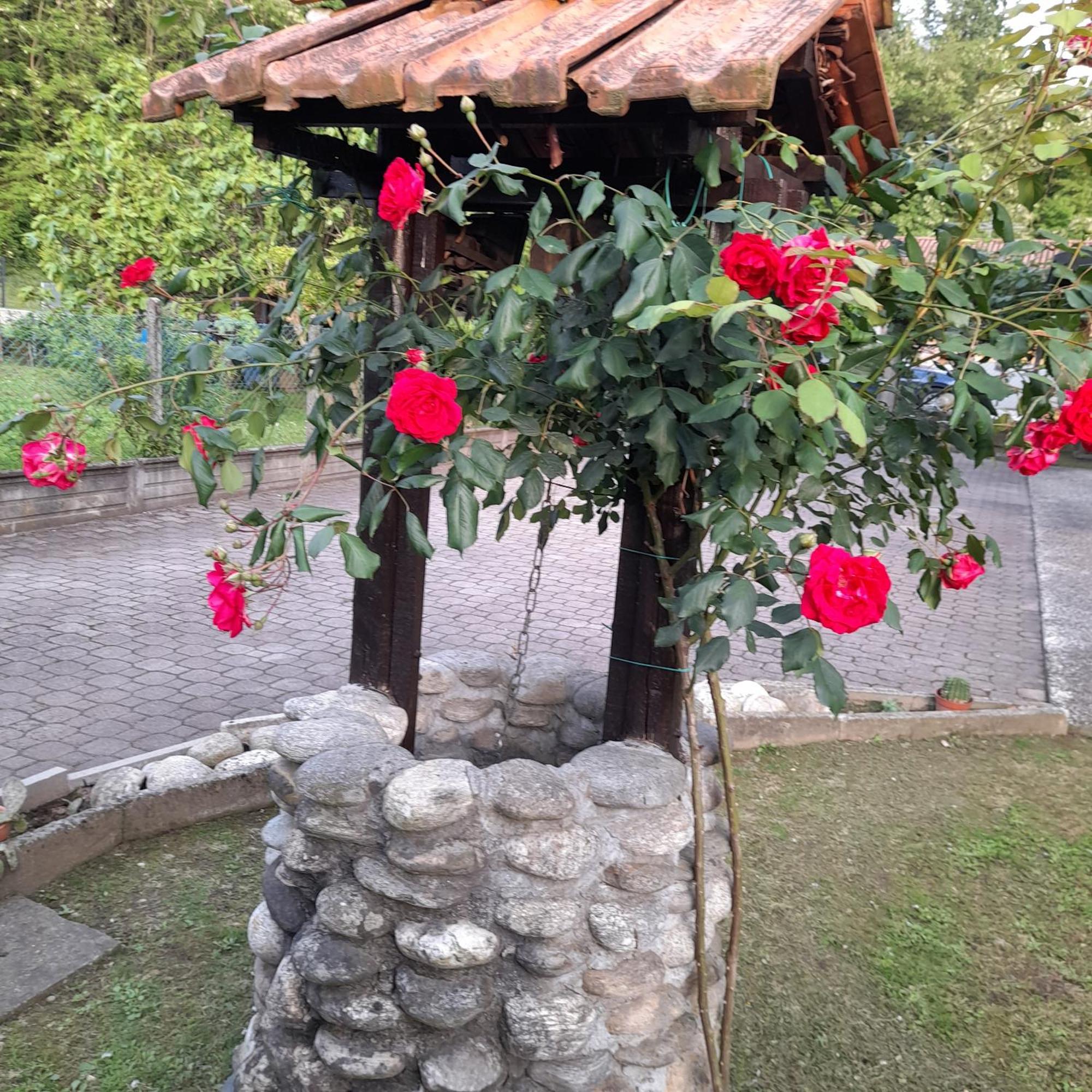 オレッジョ・カステッロ Il Vecchio Kiwi - House With Private Gardenヴィラ エクステリア 写真